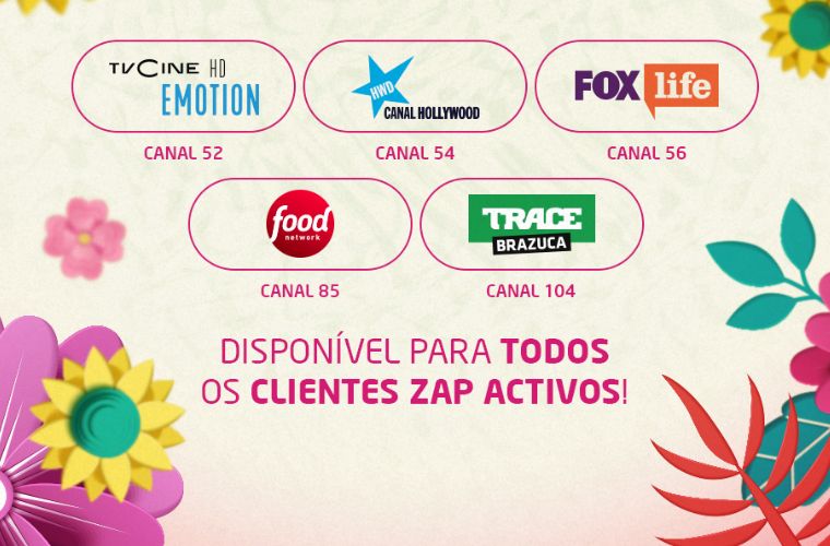 Canais em sinal aberto na Zap